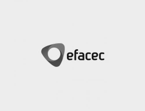 Efacec Power Solutions new Shareholder Structure